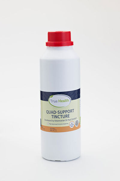 Quad Support