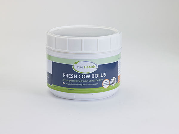 Fresh Cow Bolus